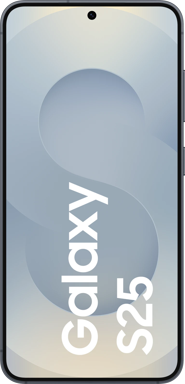 Samsung Galaxy S25 256 GB Blueblack